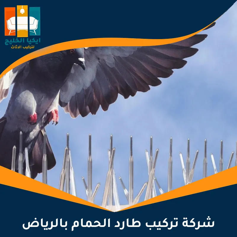 شركة تركيب طارد الحمام بالرياض