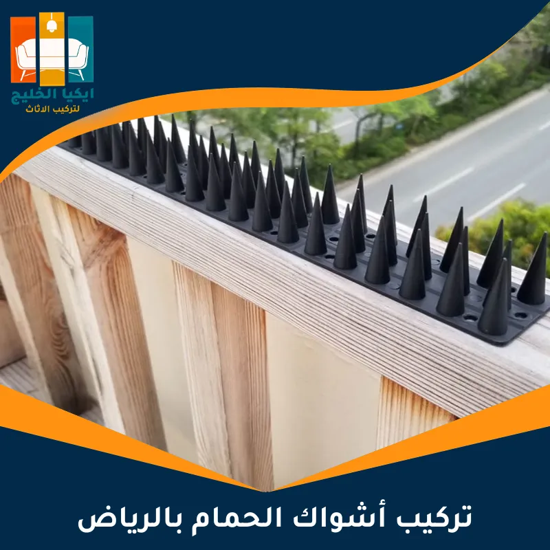 تركيب أشواك الحمام بالرياض